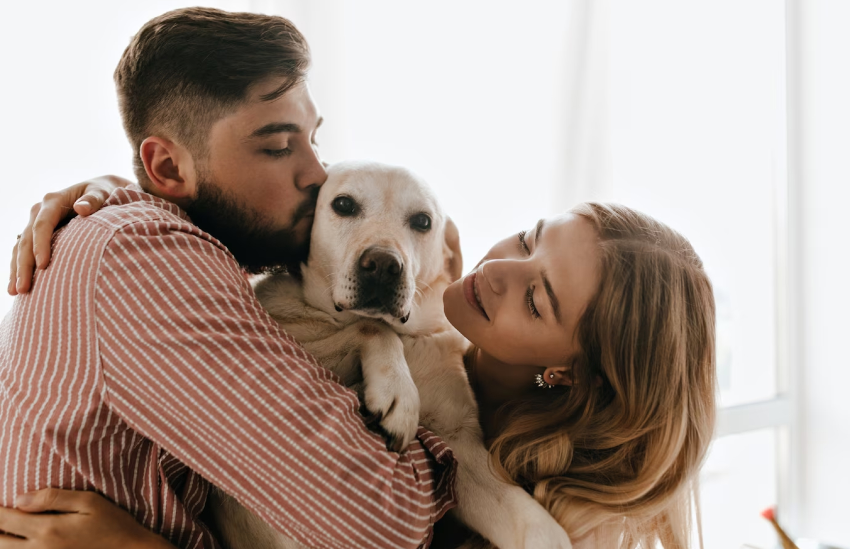 destinos pet friendly1